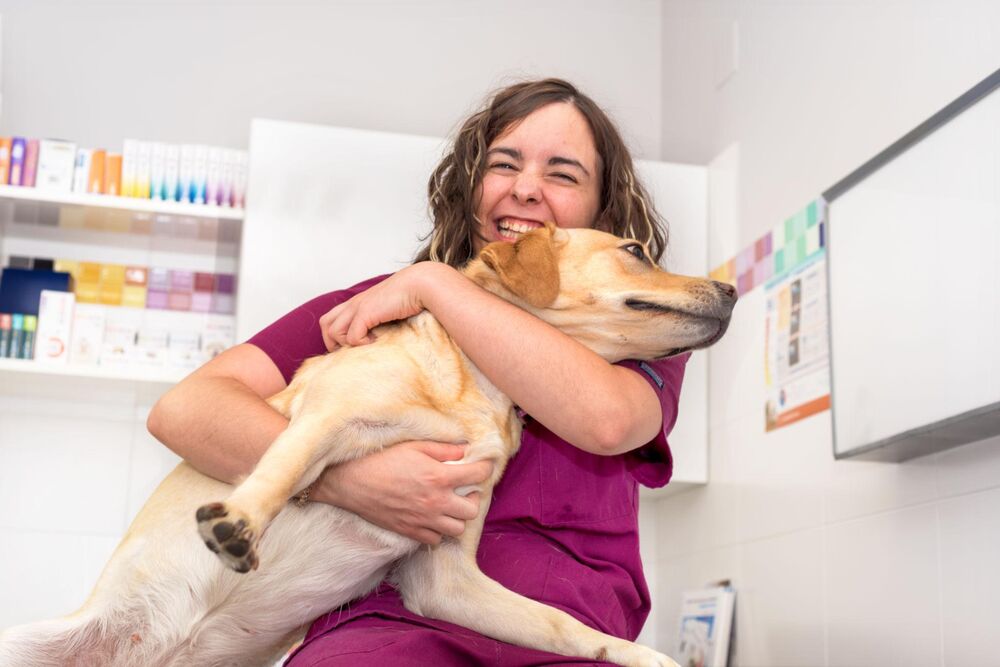 Profissional pet abraçando um cachorro com carinho
